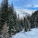 Guest house Alpenheim Simone 3*