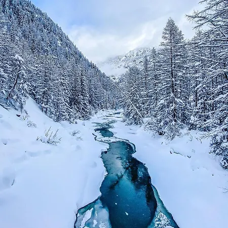 Alpenheim Simone Гостевой дом