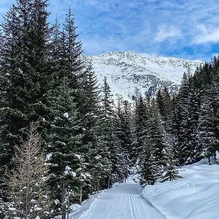Πανσιόν Alpenheim Simone *