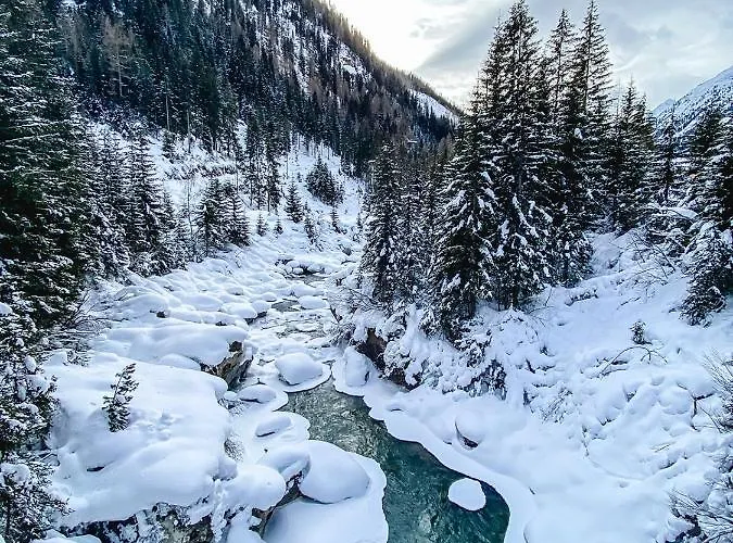 Alpenheim Simone Guest house 3*