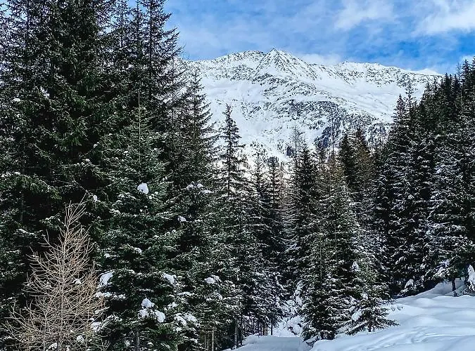 Gasthuis Alpenheim Simone 3*